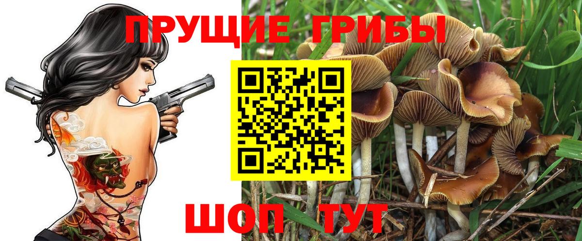 Галлюциногенные грибы Magic Shrooms  Вход с VPN  Ефремов  Псилоцибиновые грибы Psilocybe 
